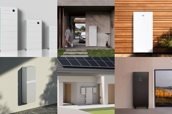De 6 mest populära hemmabatterierna 2025